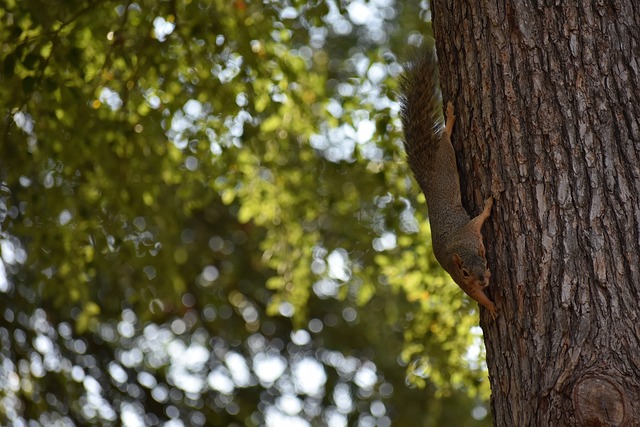 不仅改变了 不仅改变了
