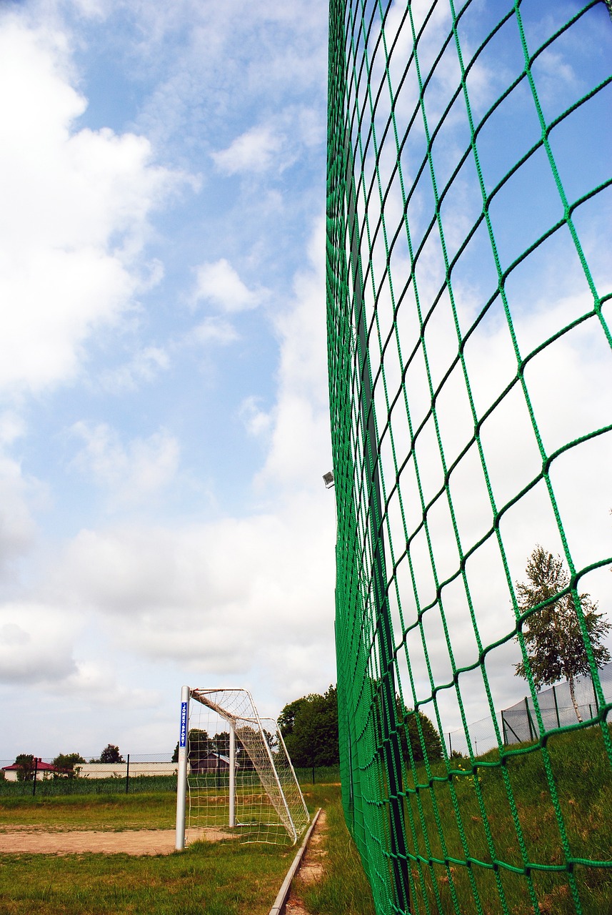 最终双方以 最终双方以