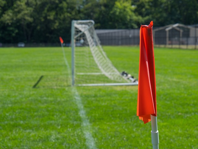 新审视团队 新审视团队