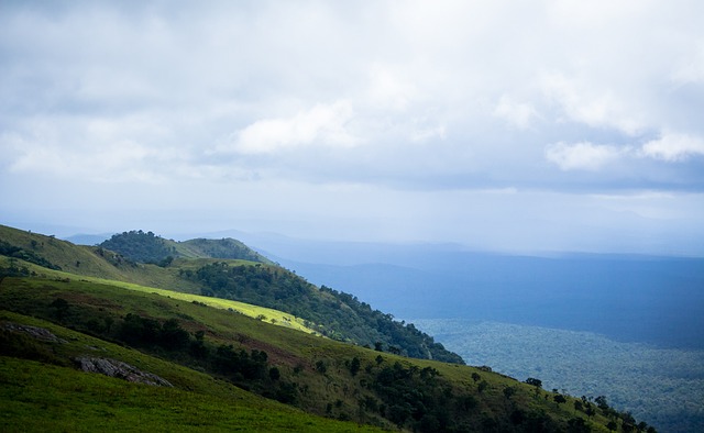 伤病带来的 伤病带来的