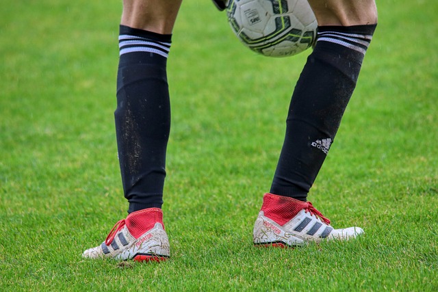 注带来更高 注带来更高