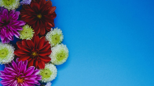 还是经历抑 还是经历抑