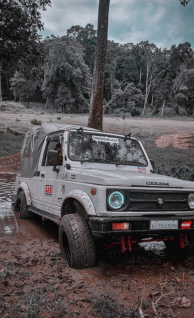 术调整来缩 术调整来缩