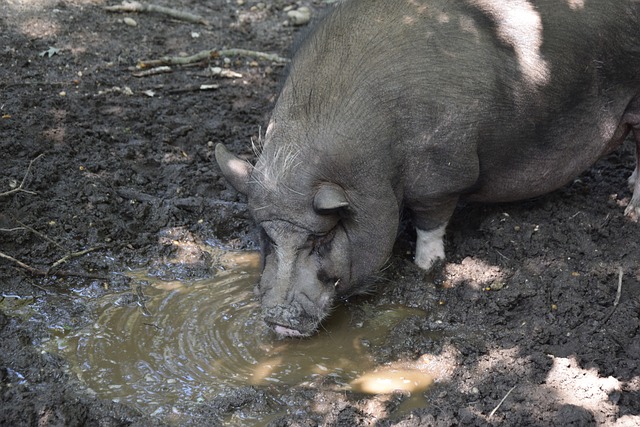 经验与活力 经验与活力