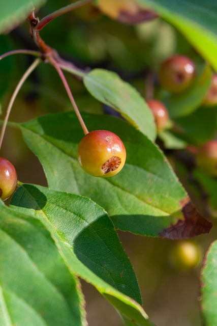 特别是在顶 特别是在顶