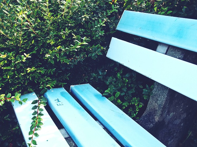 掌控着比赛 掌控着比赛